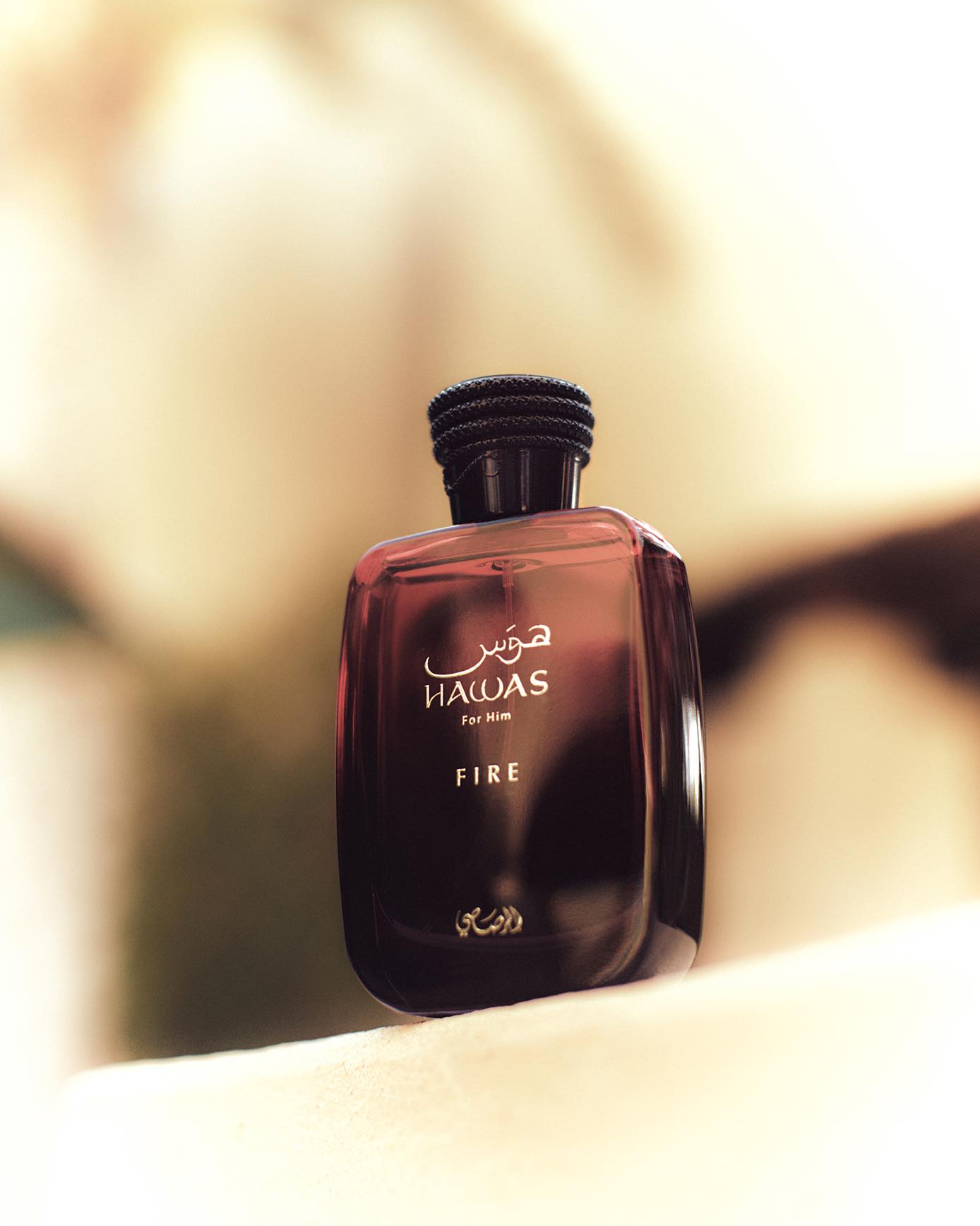 491963684_1069948525161682_8704803632334333382_n